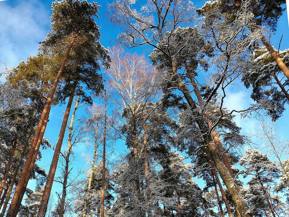 Photograph by Ксения Мельникова