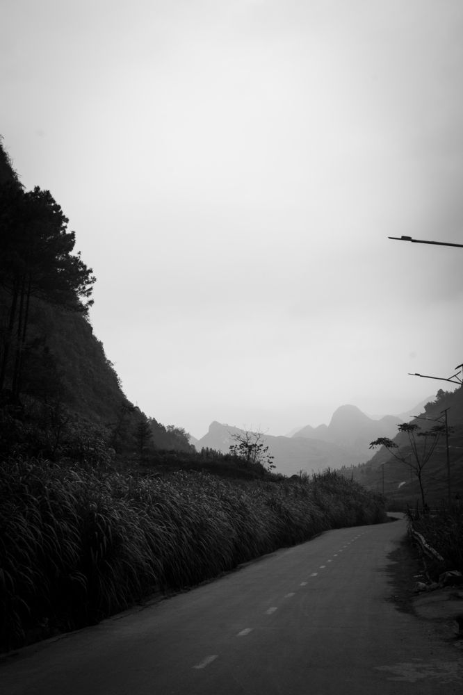 Фотография автора Đình Huy Lê