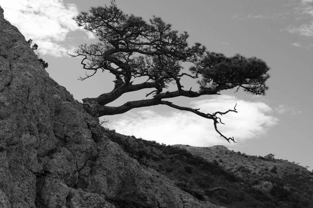 Photograph by Алексей Леднов