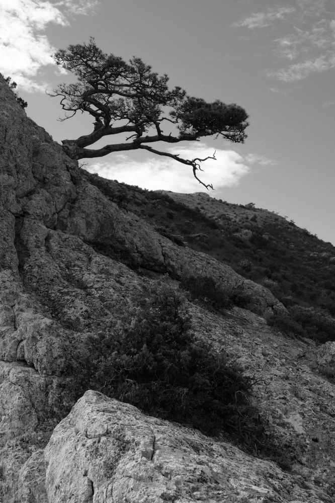 Photograph by Алексей Леднов