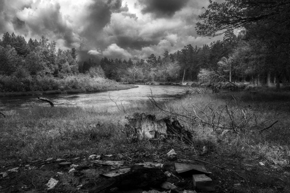 Photograph by Дмитрий Черепков