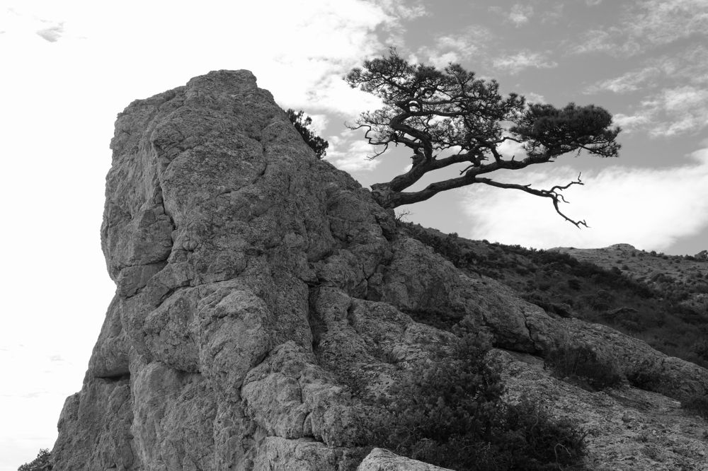 Photograph by Алексей Леднов