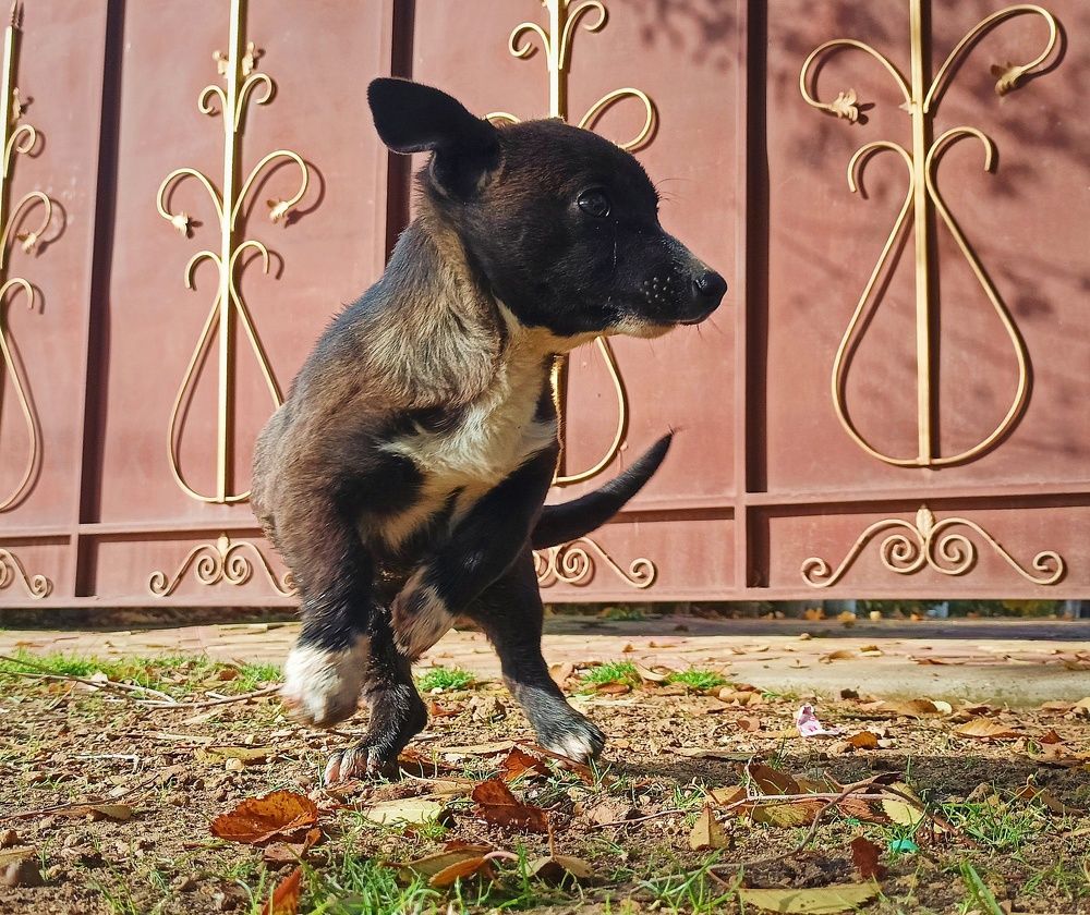 Photograph by Дарья Кирина