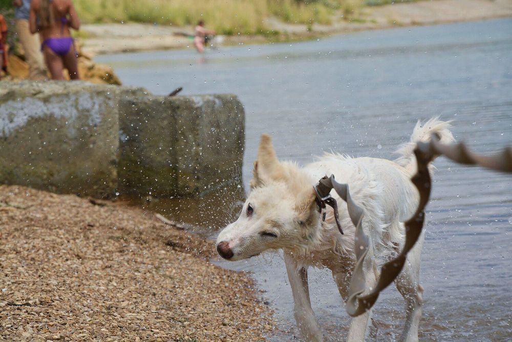 Photograph by Дарья Кирина