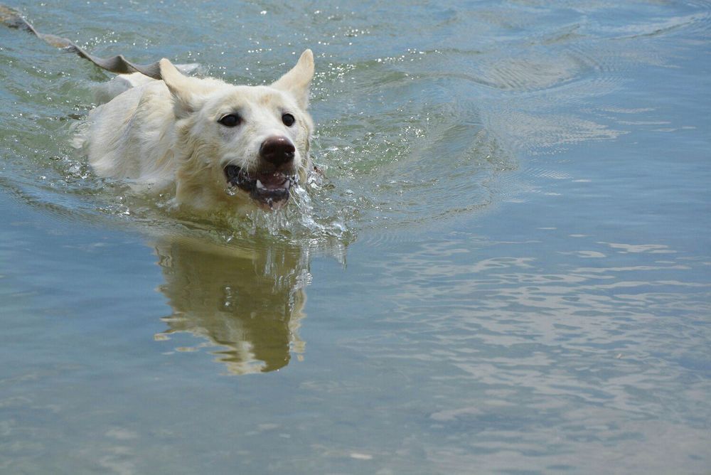 Photograph by Дарья Кирина