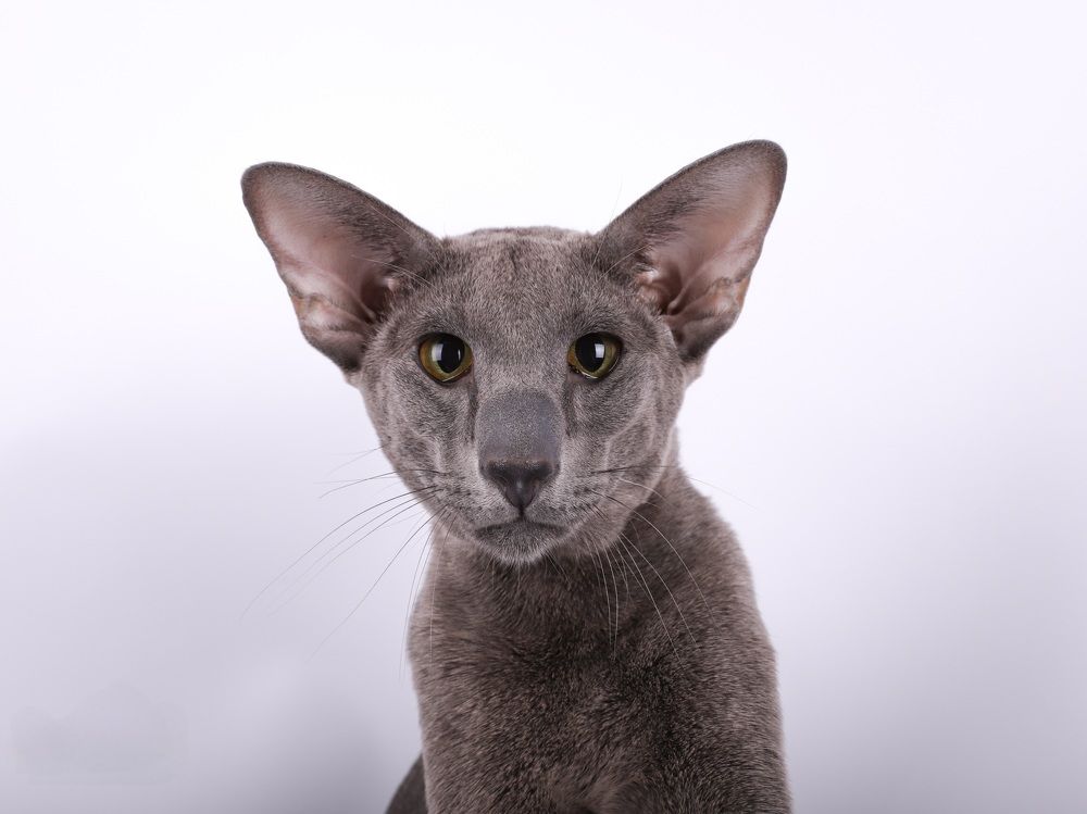 Photograph by Альвина Кузнецова