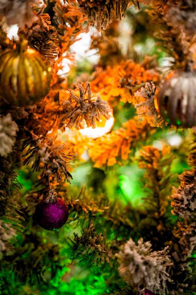 Photograph by Артём Александрович