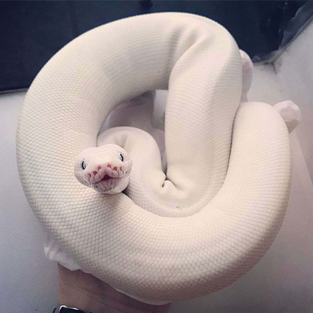 Photograph by Дарья Кирина