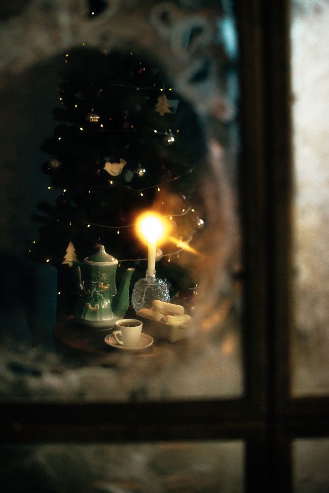 Фотография автора Романова Инга