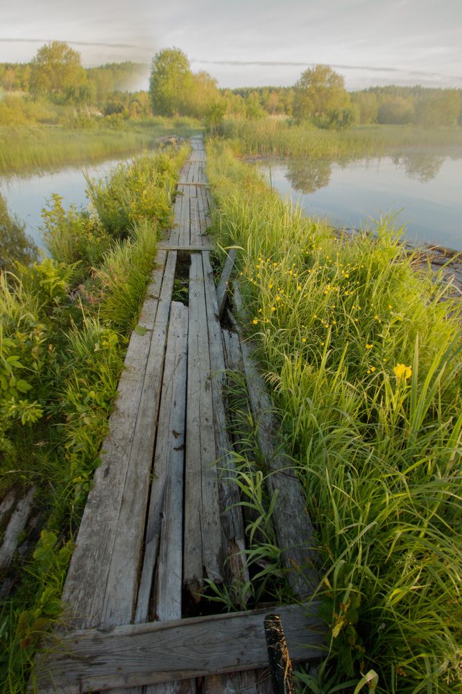 Photograph by Никита Луферов