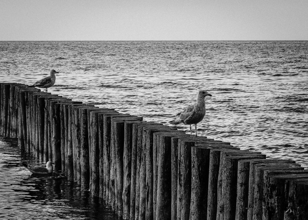 Photograph by Наталья Колеватова