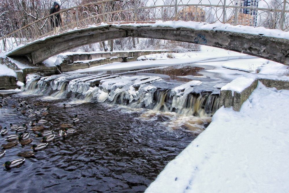 Photograph by Никита Луферов