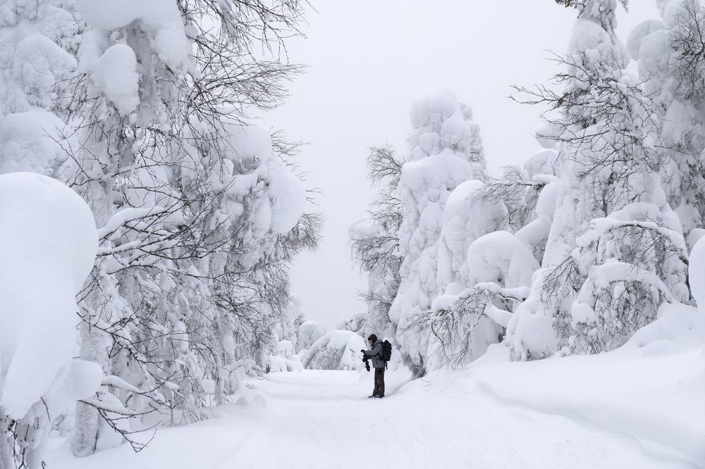 Фотография автора Martine BOUR