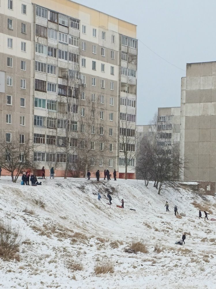 Photo #11612666