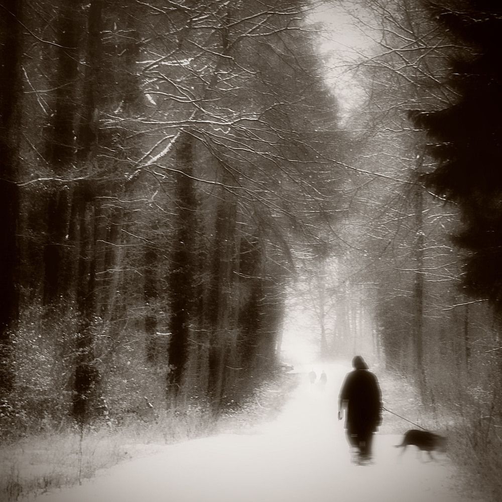 Фотография автора Martine BOUR