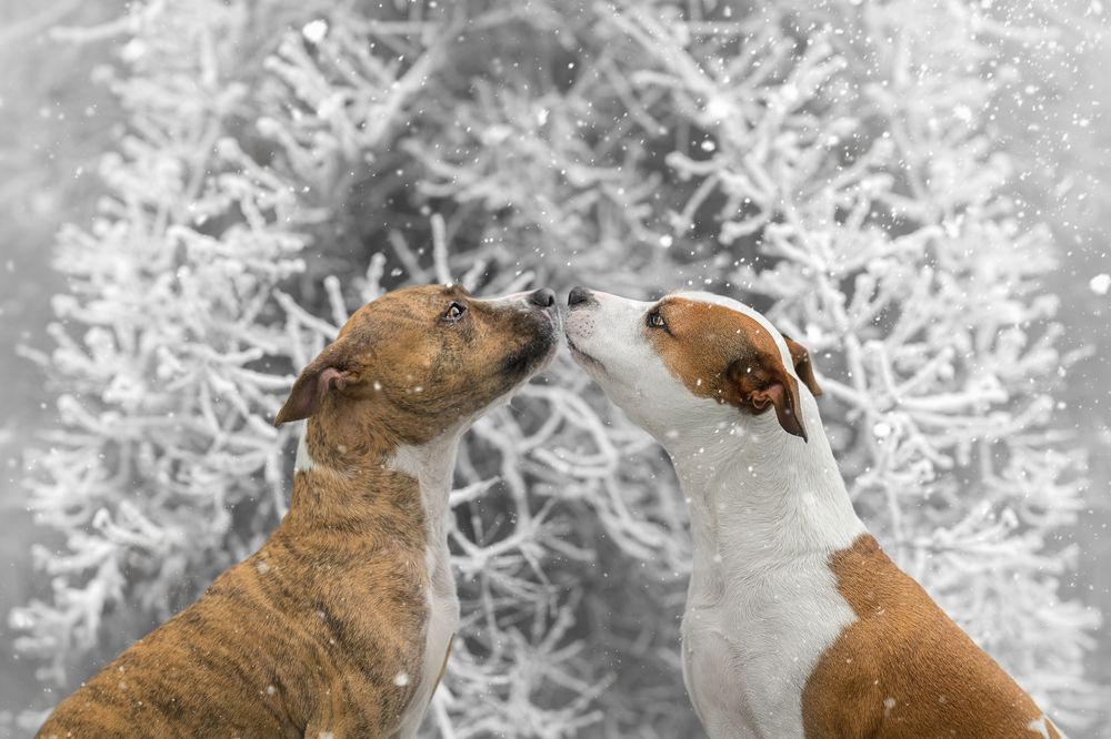 Photograph by Lucie Nermuťová