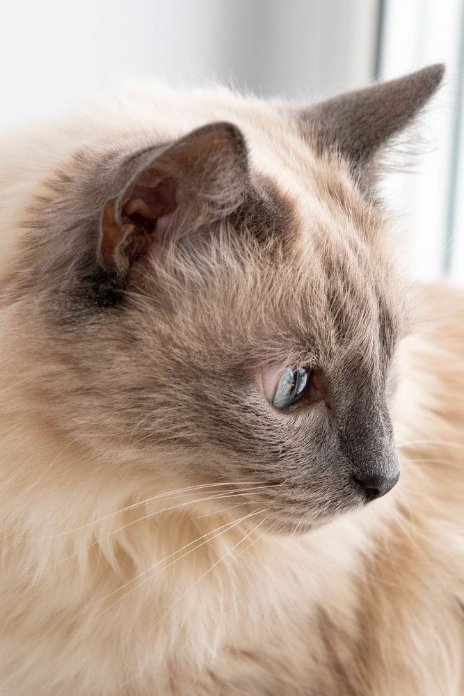 Фотография автора Олег Капуста