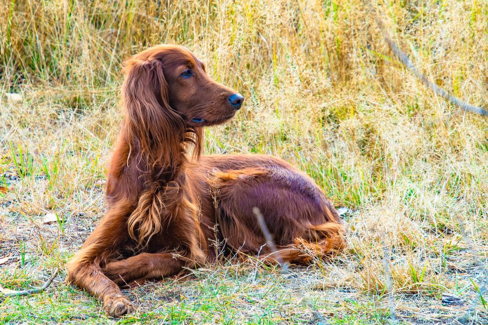 Фотография автора Олег Капуста