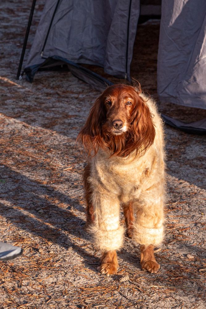 Фотография автора Олег Капуста