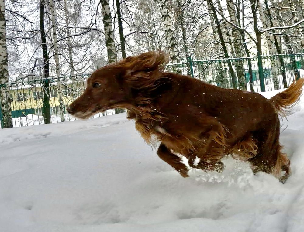 Фотография автора Олег Капуста