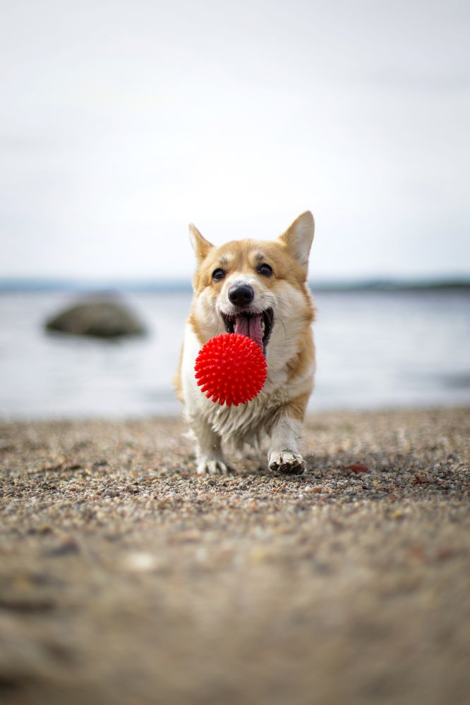 Photograph by Альвина Кузнецова