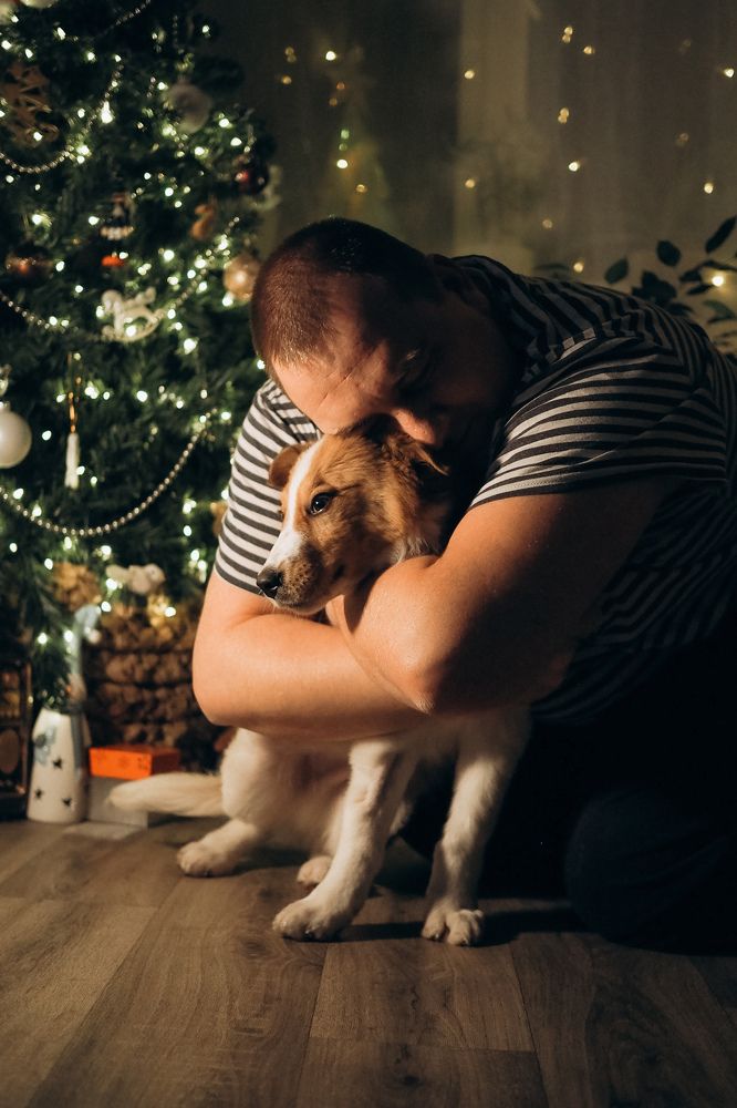 Photograph by Светлана Шибаршина