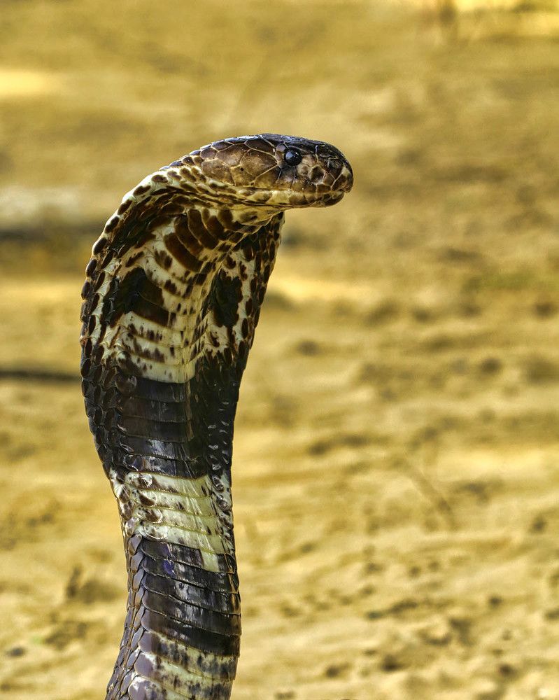 Photograph by Михаил Баевский