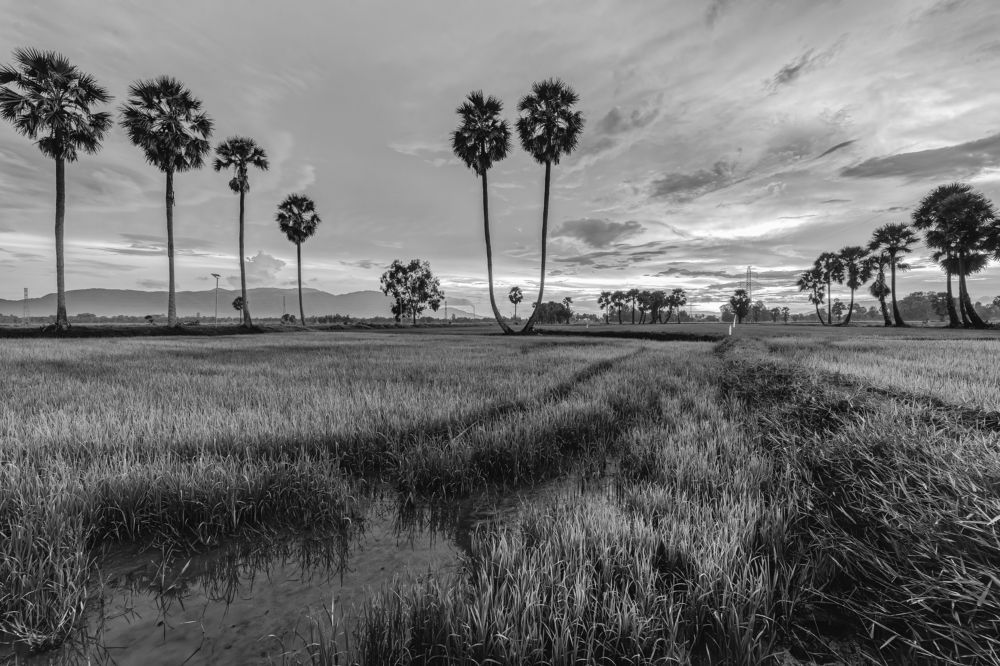 Фотография автора Andy Nguyen