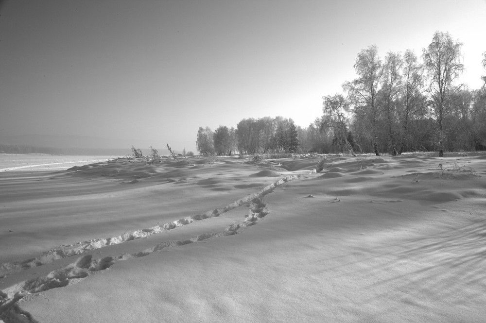 Photograph by Панюшкин Андрей