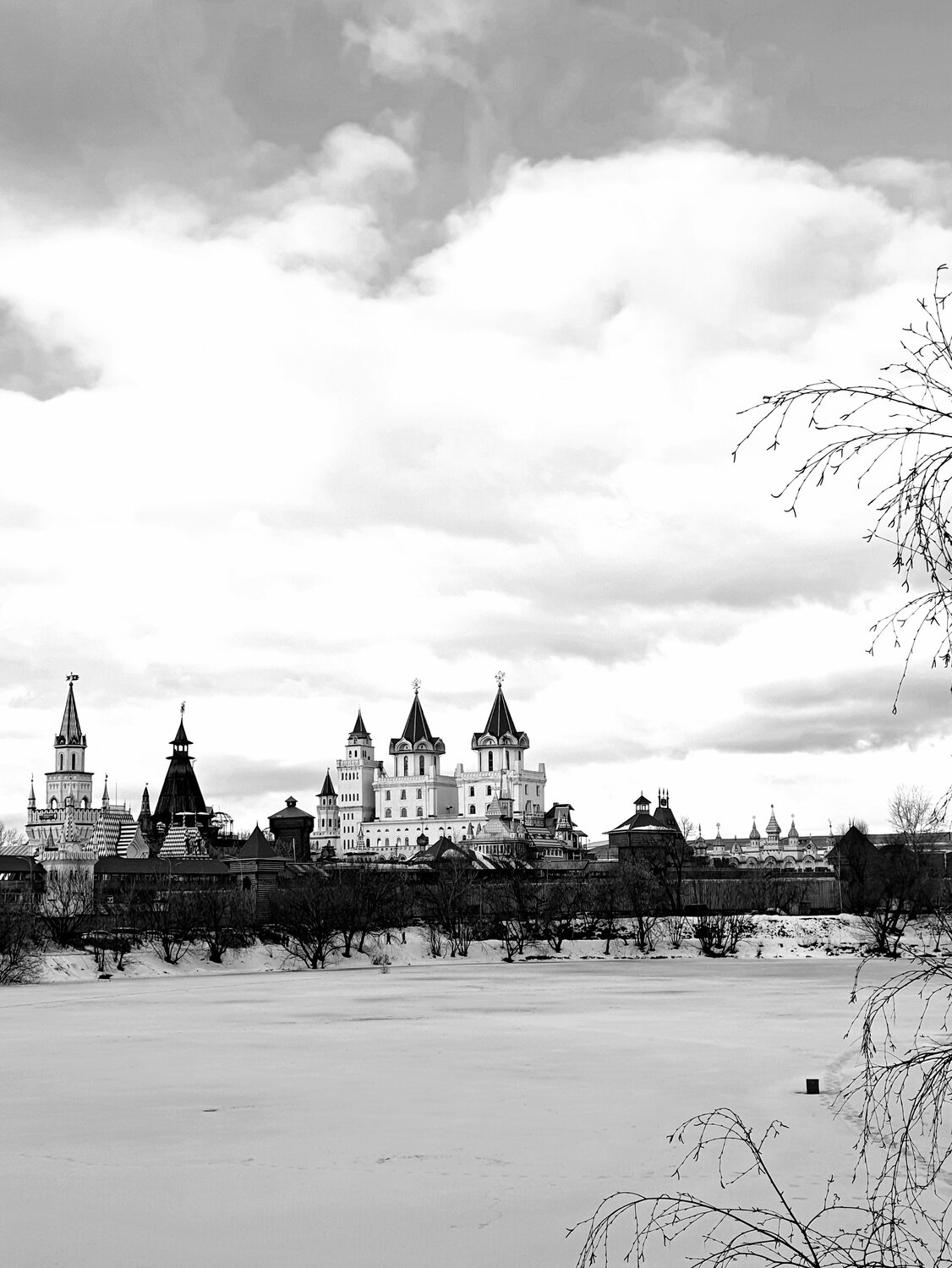 Photo #11612855