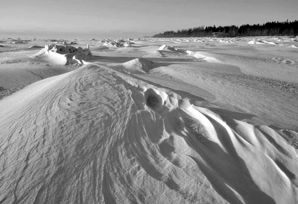 Photograph by Николай Кувшинов