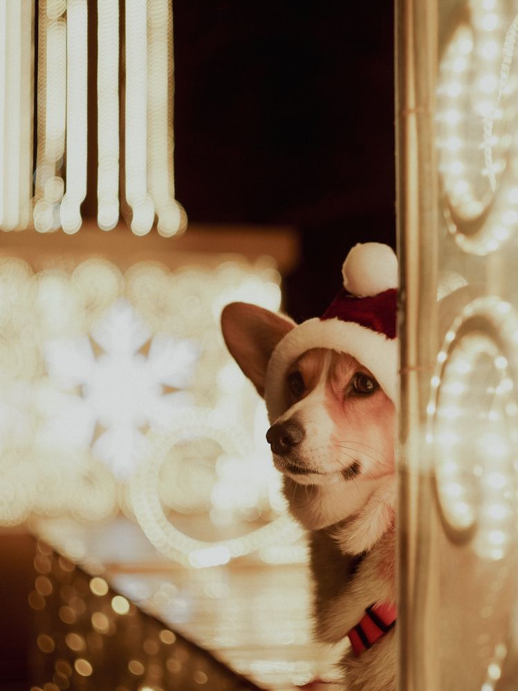 Photograph by Светлана Смирнова