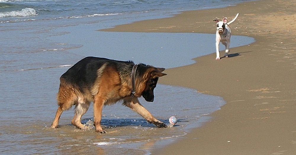 Photograph by yakov vayman