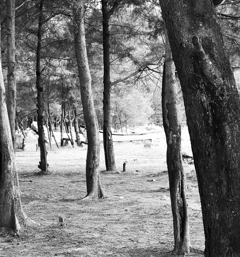 Photograph by Deasy Junita Dhani Hidayana