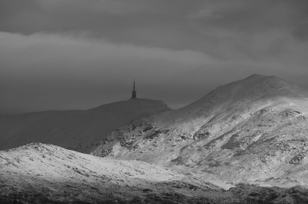 Photograph by Radu Marian