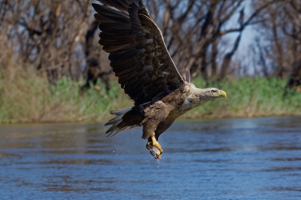 Photograph by Антон Громов