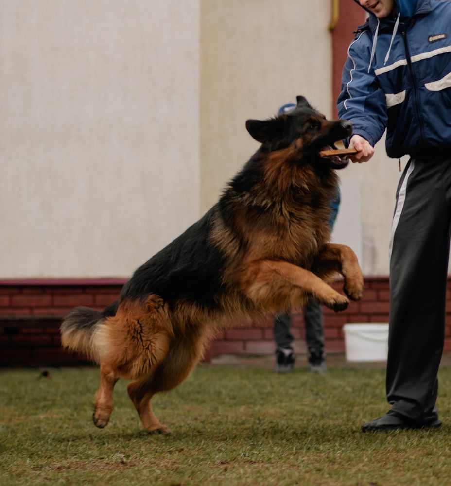 Photograph by Виталий Потапенок