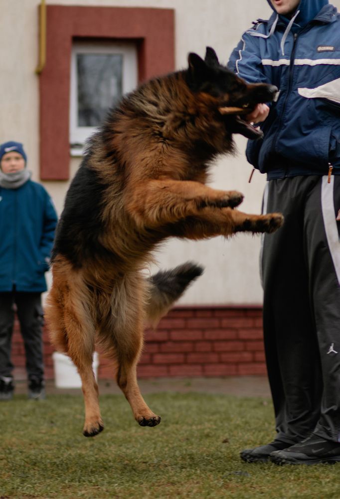 Photograph by Виталий Потапенок