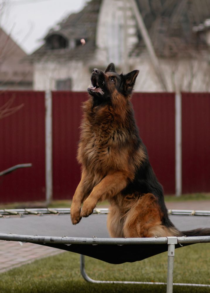 Photograph by Виталий Потапенок