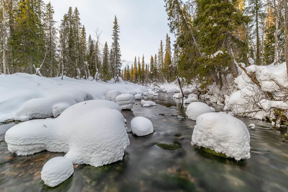 Фотография автора Илья Большаков