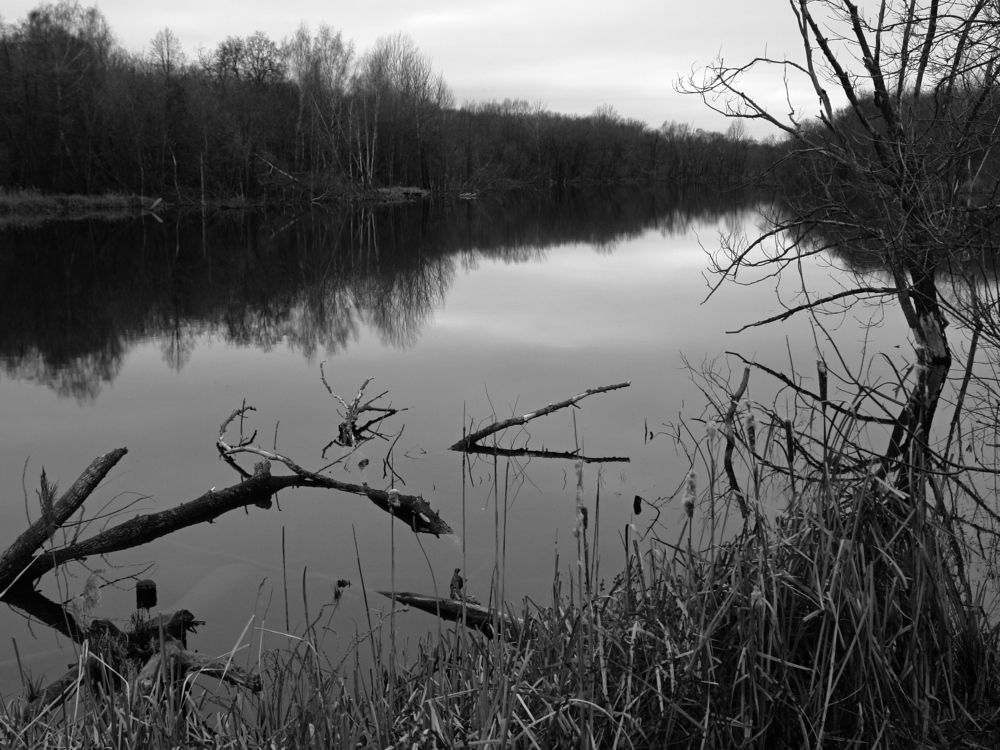 Photograph by Игорь Шевердин