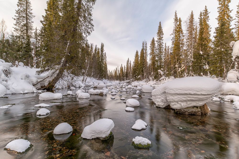 Фотография автора Илья Большаков