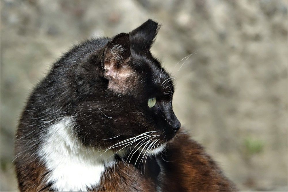 Photograph by jelena konickaja