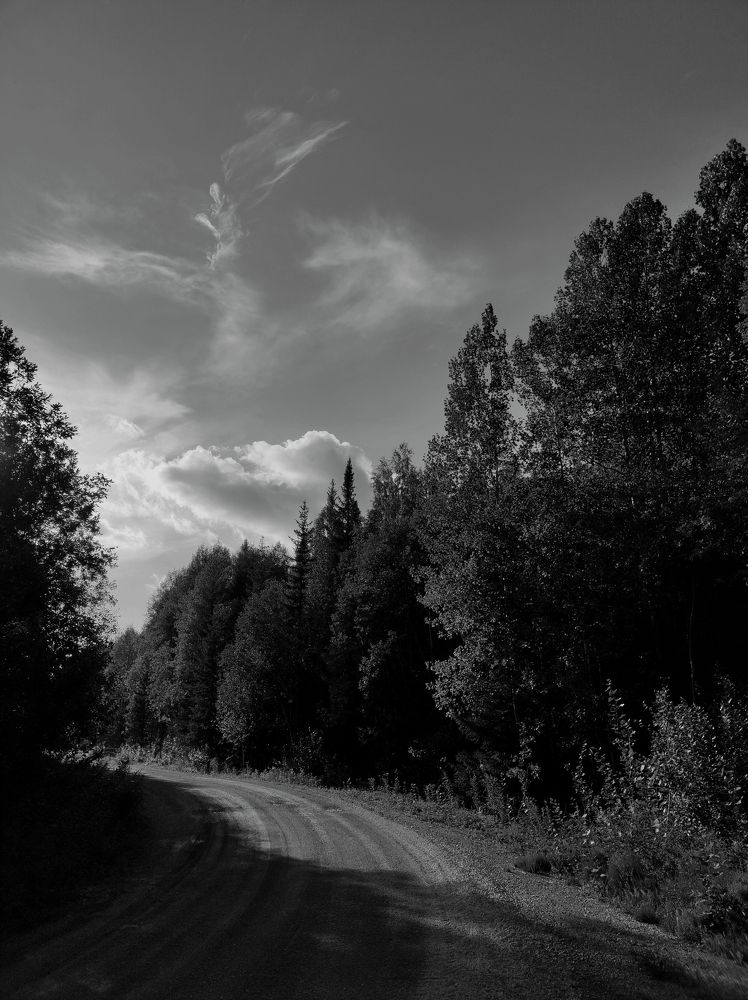 Photo #11613148