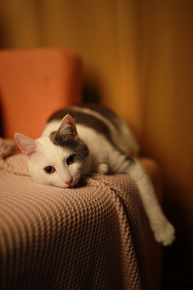 Photograph by Елена Гребенщикова