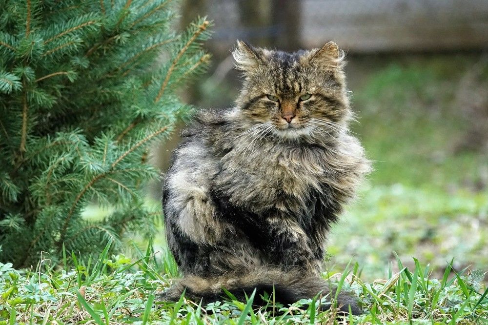 Photograph by jelena konickaja