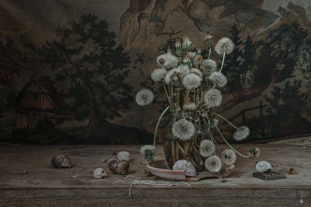 Фотография автора Анна Петина