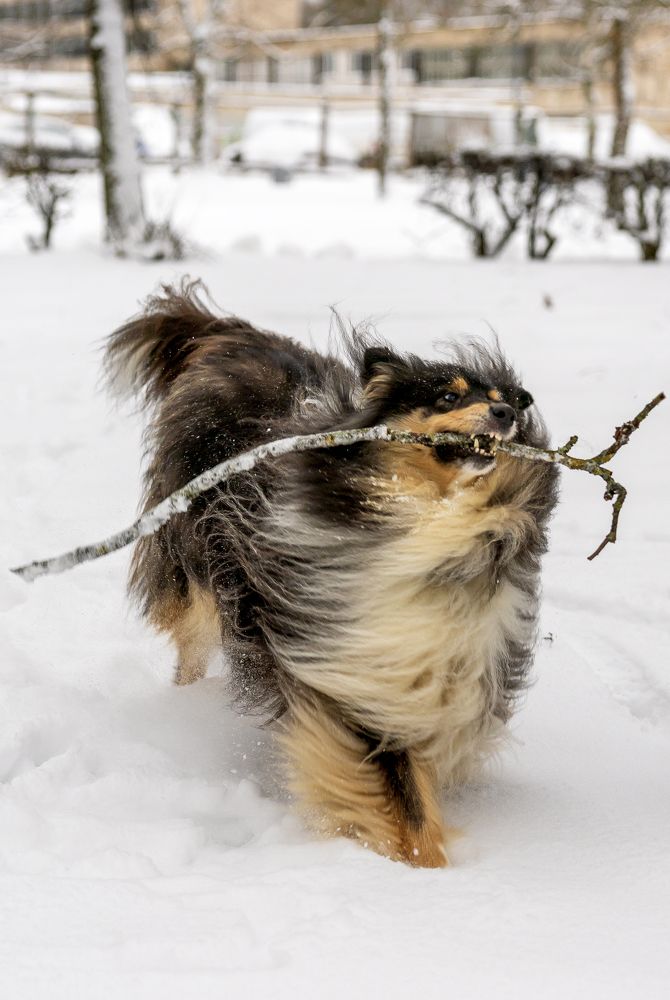 Photograph by Людмила Воробьева