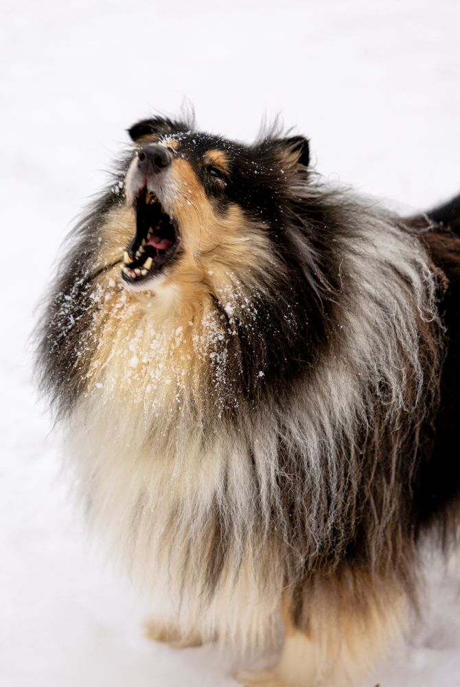 Photograph by Людмила Воробьева