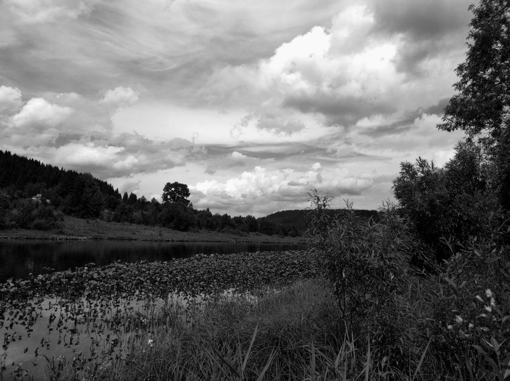Photograph by Алиса Ермолаева